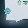 A4 Laser Compatible PE PET Synthetic Paper for Home Goods Labeling Self Adhesive Sticker Sheet