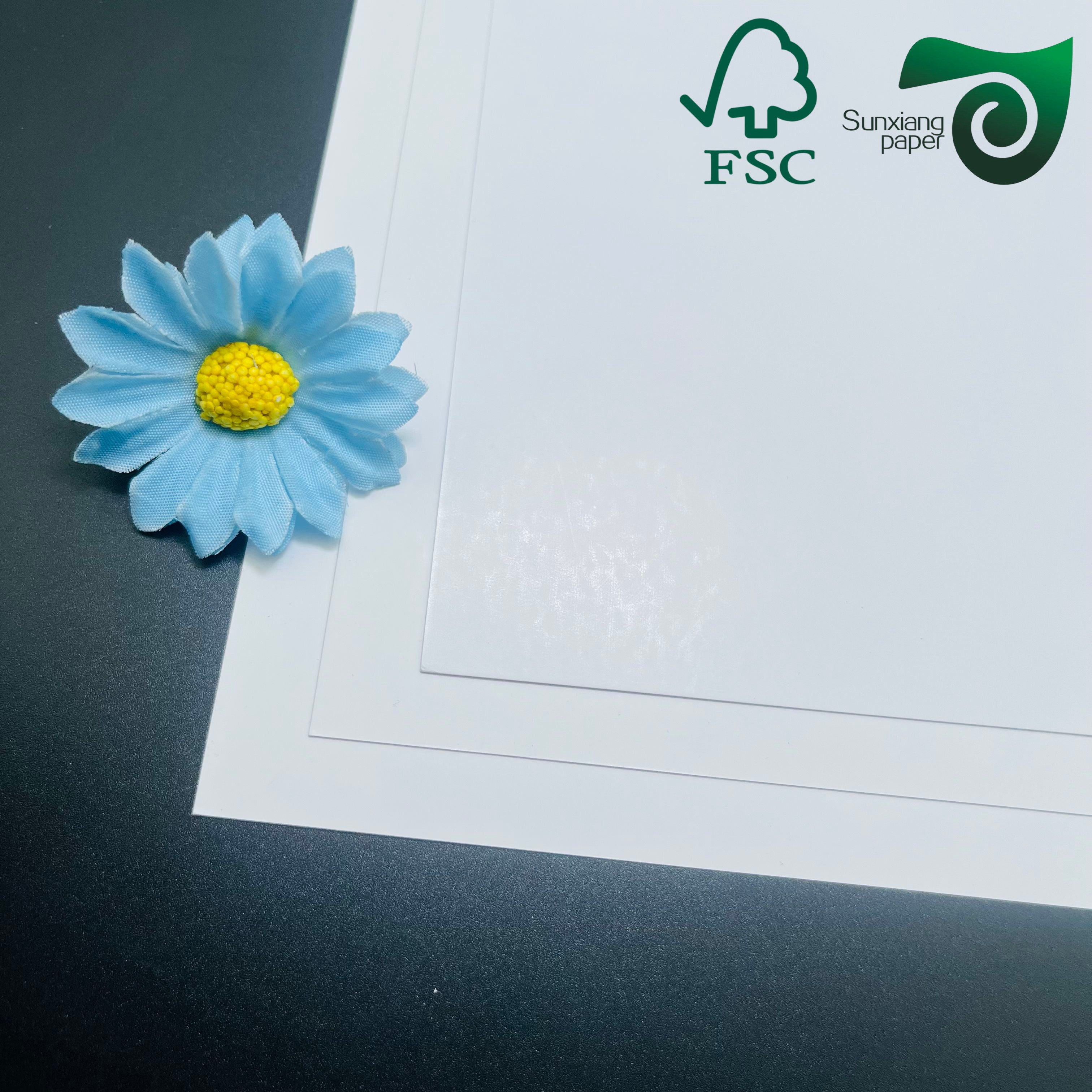 FSC Certified 350gsm One-Side Coated White Cardboard High Hardness for Premium Packaging