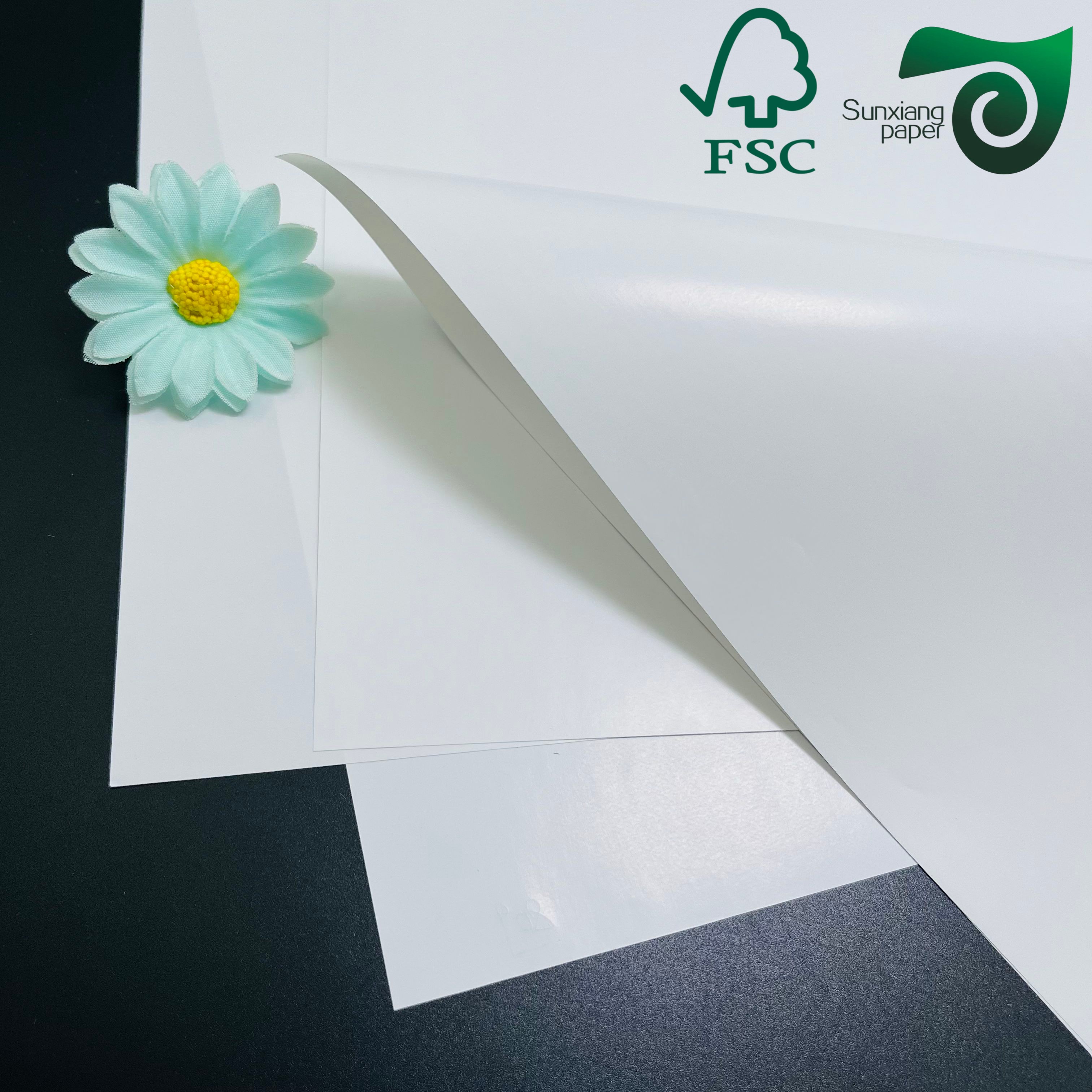 2026 Printing Packaging Paper Update: Sustainability Specialty Substrates Reshape Global Procurement