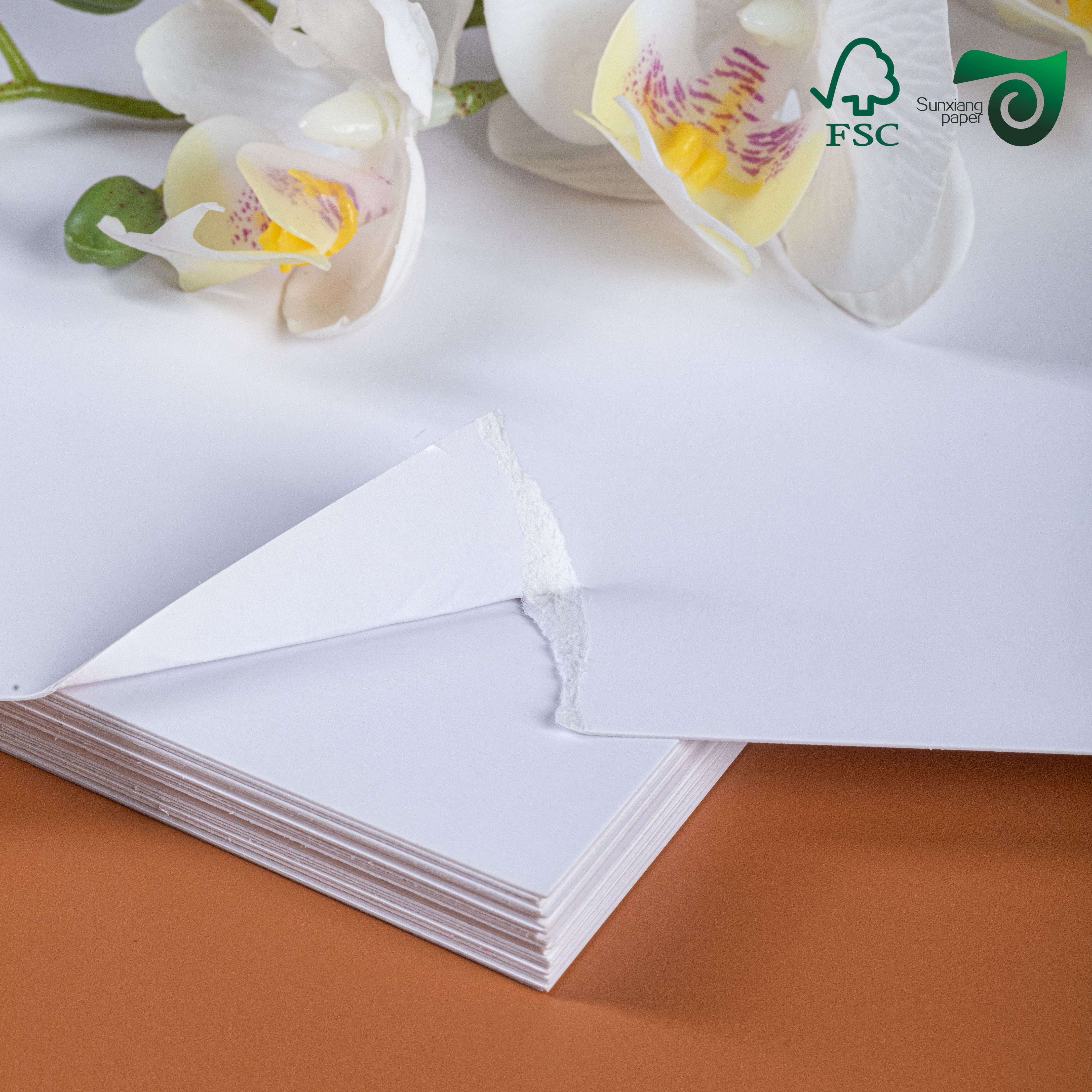 Premium FSC 300gsm Single-Sided Coated CardBoard C1S High Fold Strength for Food Packaging