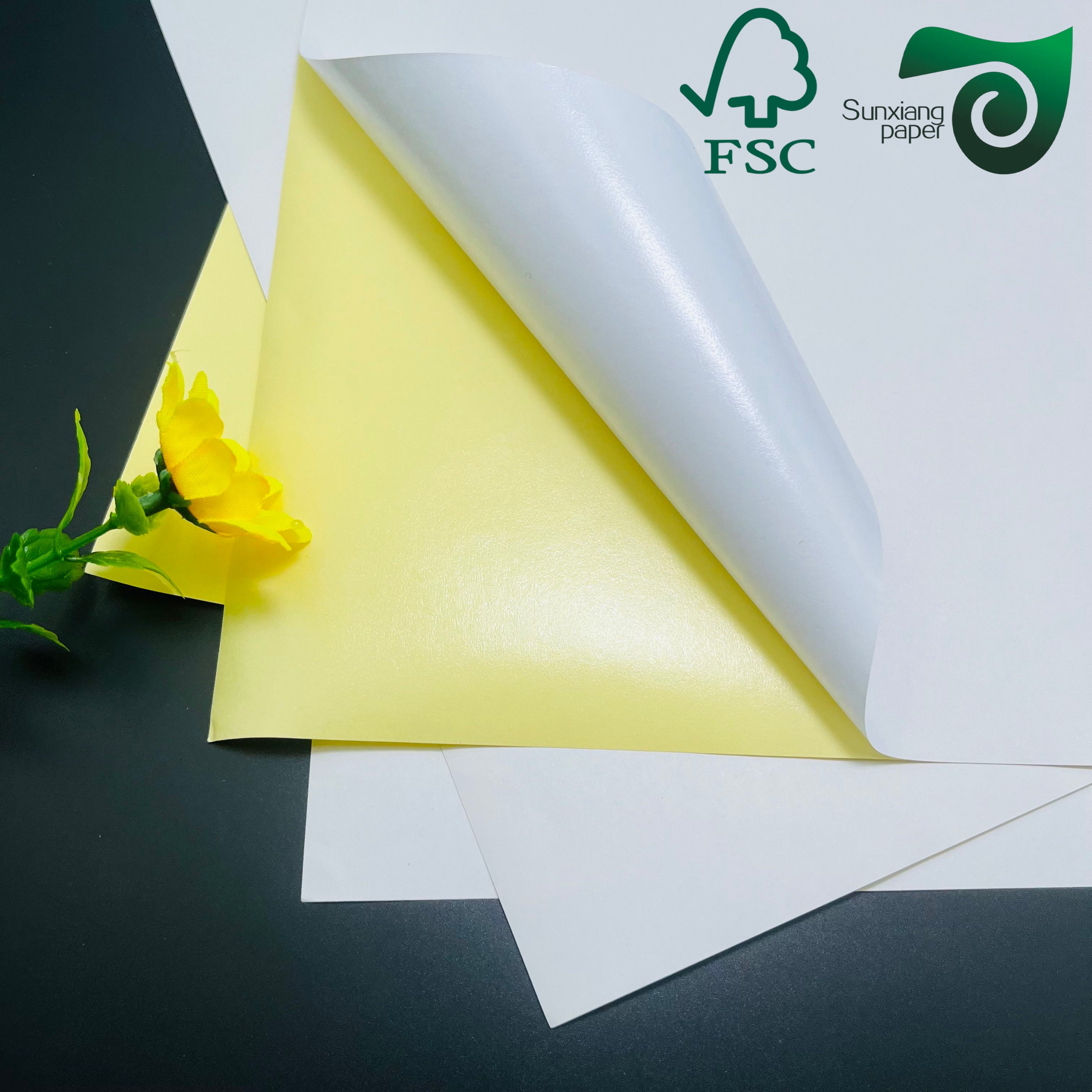 FSC Laser Compatible PE PET Synthetic Sheet: Self Adhesive Stickers for Fruit Labeling