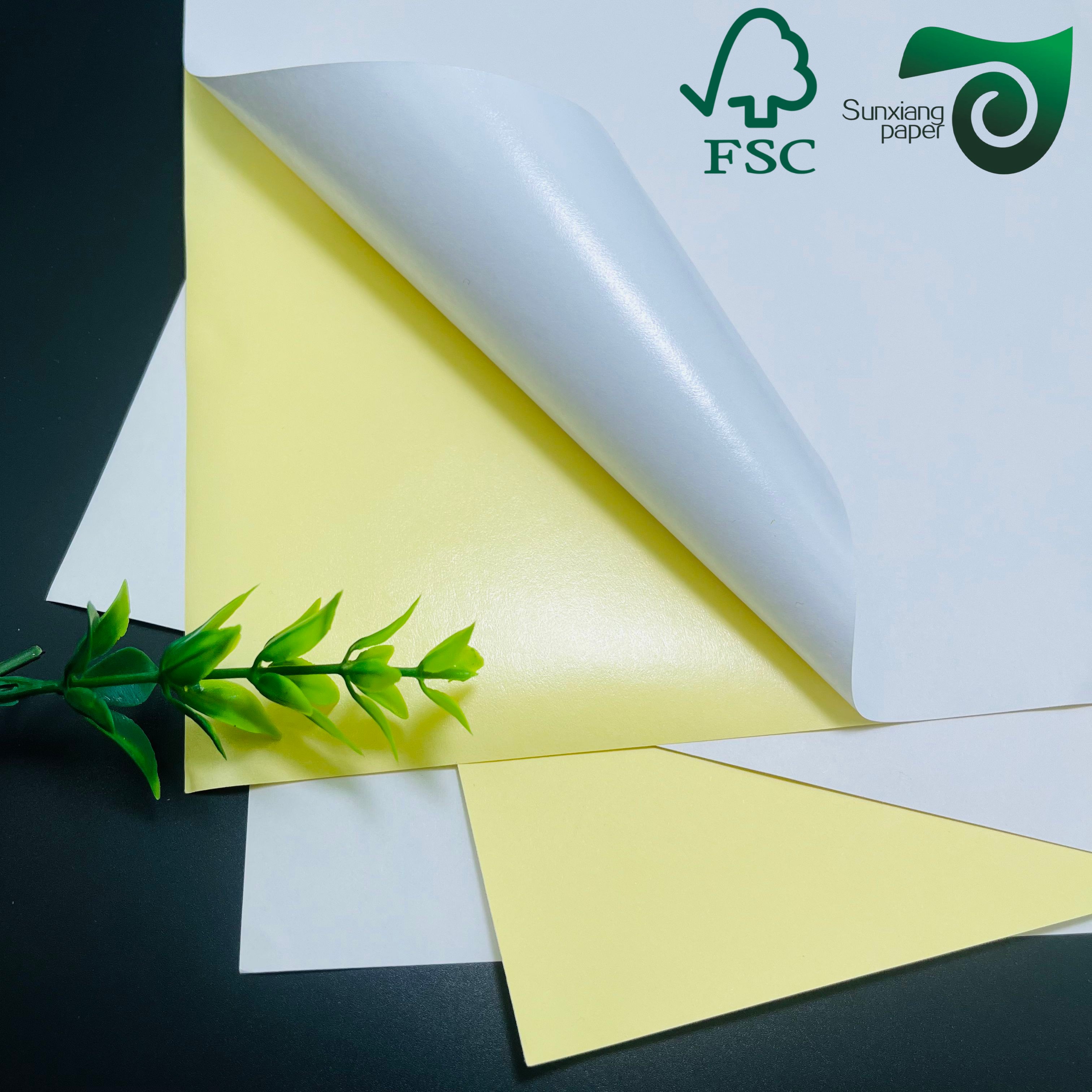 FSC Laser Compatible PE PET Synthetic Sheet: Self Adhesive Stickers for Fruit Labeling