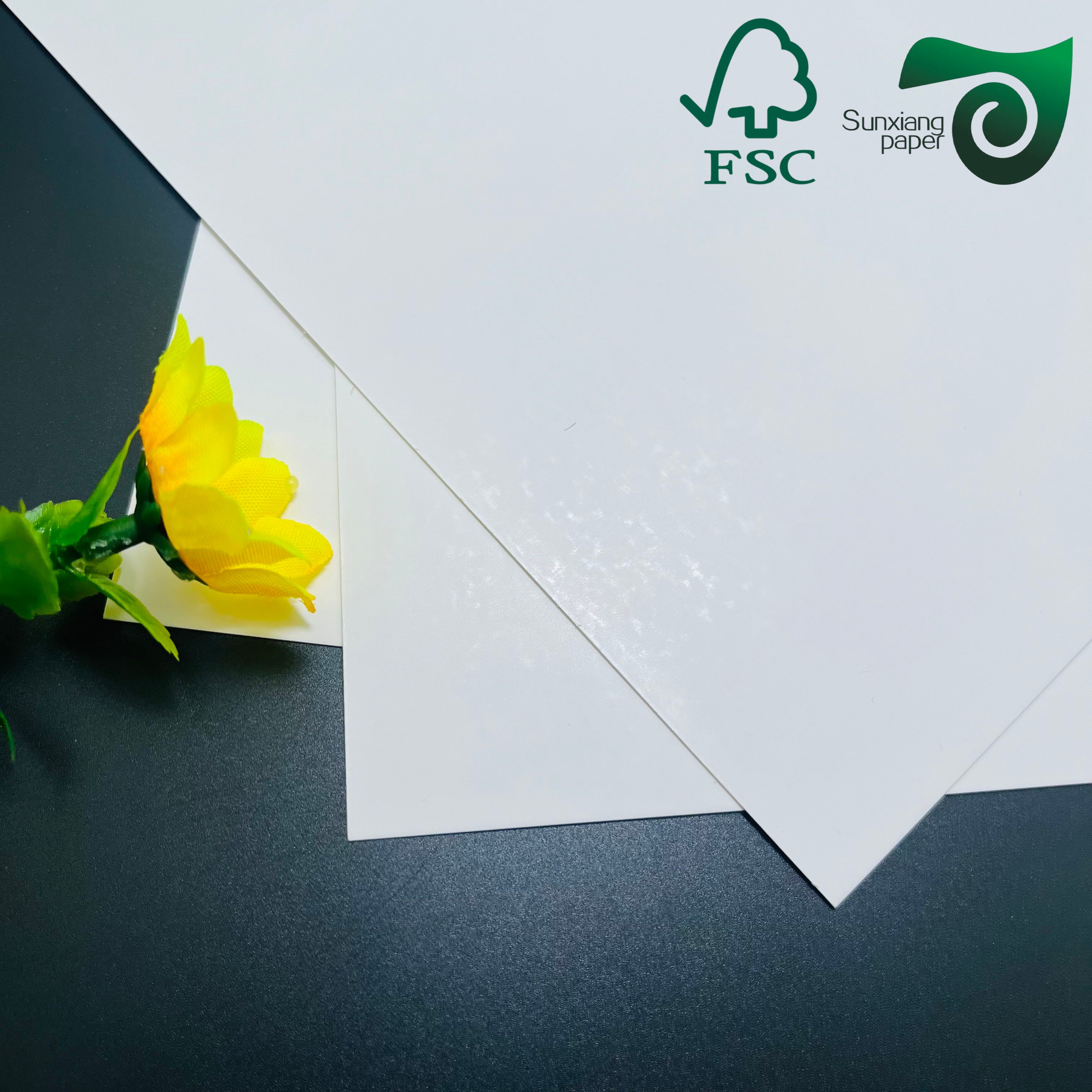 FSC Certified 200gsm One-Side Coated White Cardboard High Hardness for Premium Packaging