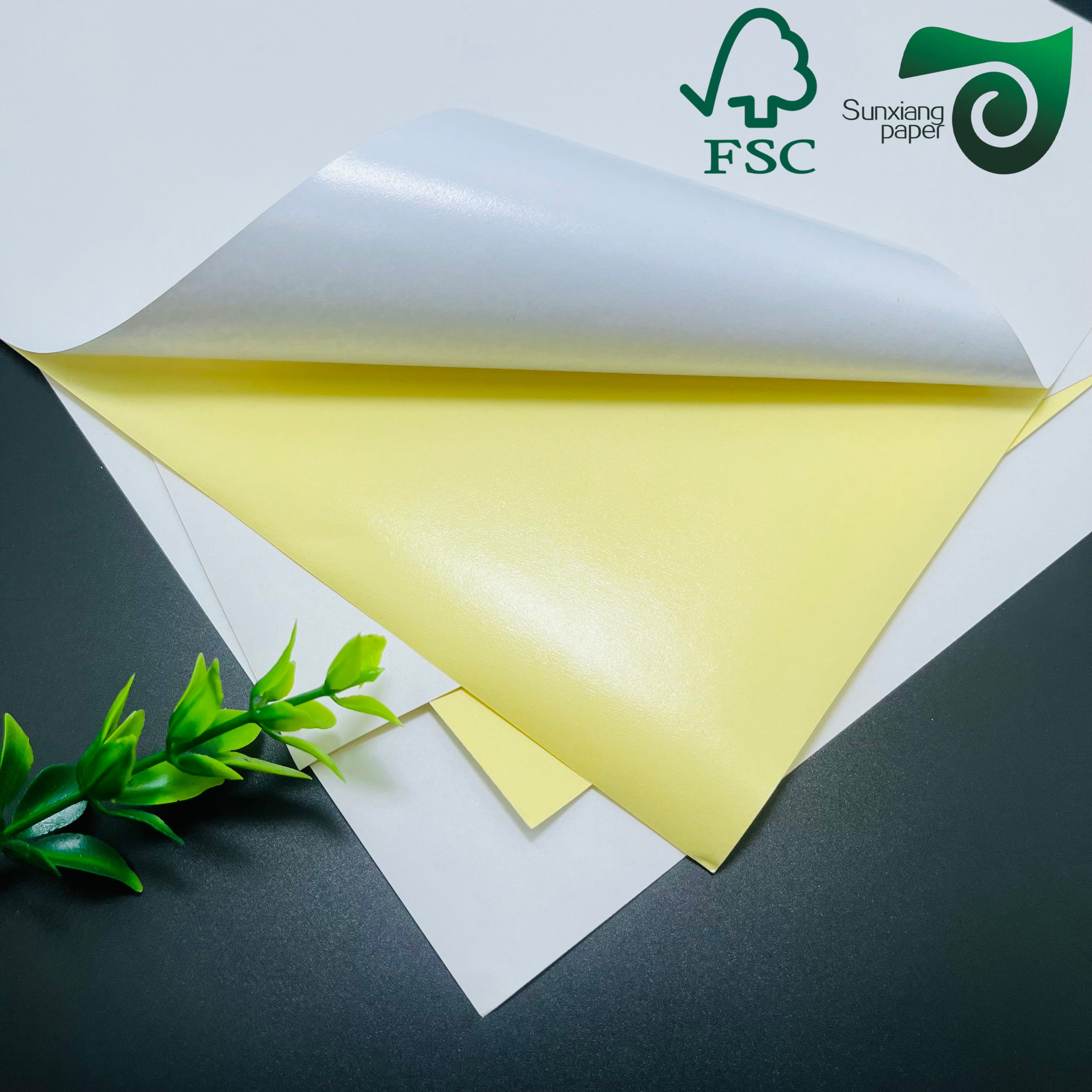 FSC Laser Compatible PE PET Synthetic Sheet: Self Adhesive Stickers for Fruit Labeling