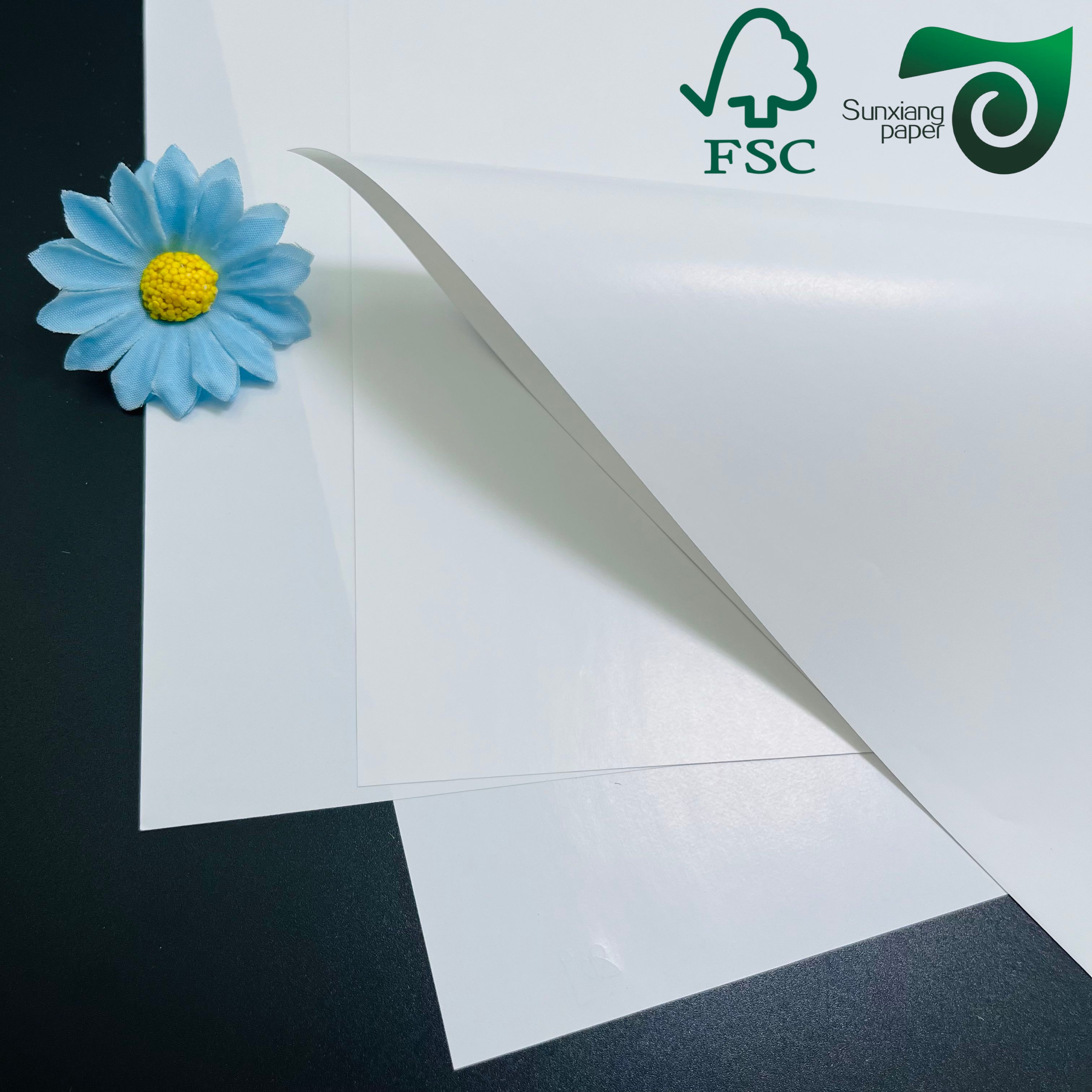 FSC C1S SBS FBB Board 250gsm–400gsm | One Side Coated White Cardboard
