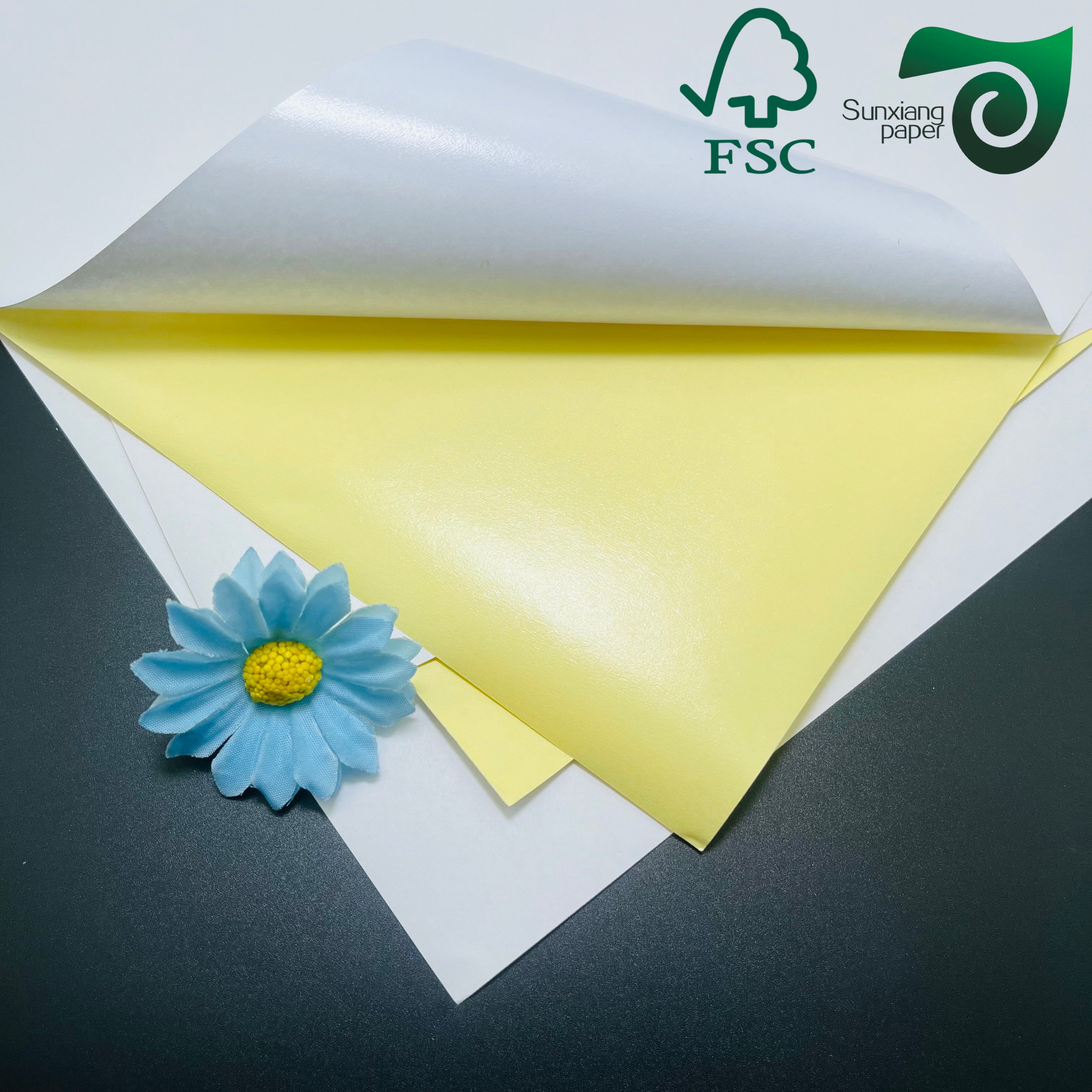 FSC Laser Compatible PE PET Synthetic Sheet: Self Adhesive Stickers for Fruit Labeling
