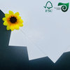 FSC C1S SBS Paper Board 250gsm 400gsm FBB Board One Side Coated White Cardboard