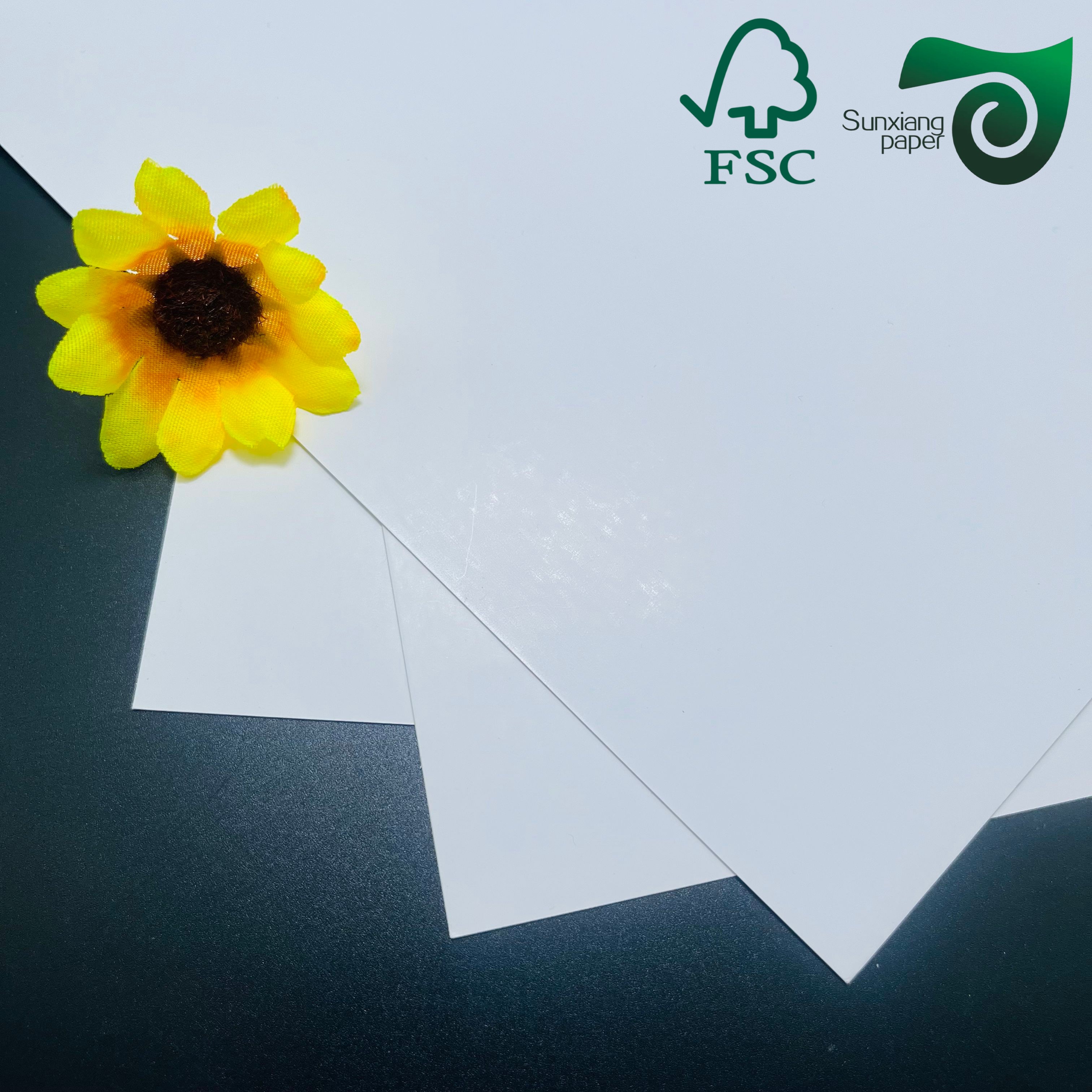 FSC C1S SBS Paper Board 250gsm 400gsm FBB Board One Side Coated White Cardboard