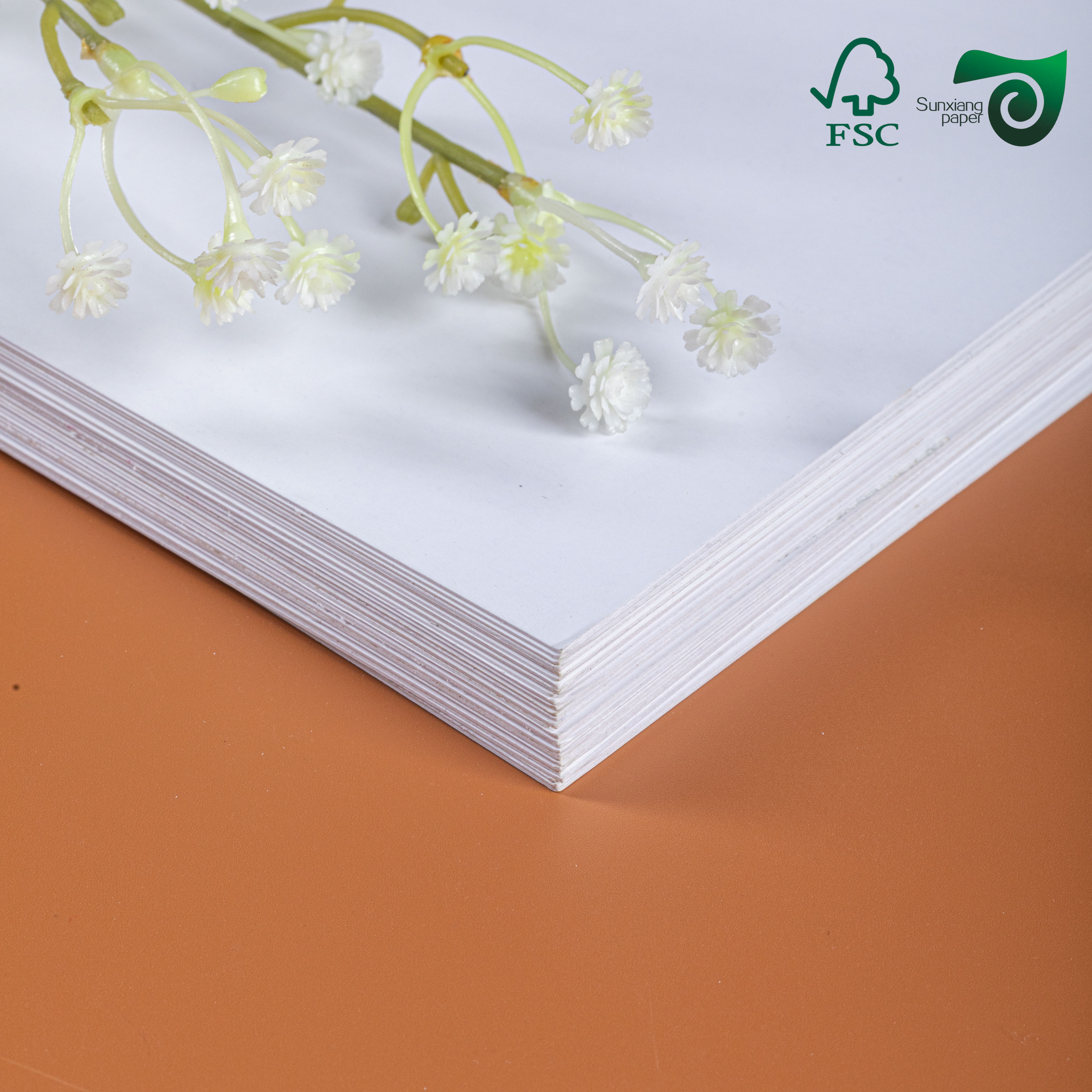 Premium FSC 300gsm Single-Sided Coated CardBoard C1S High Fold Strength for Food Packaging