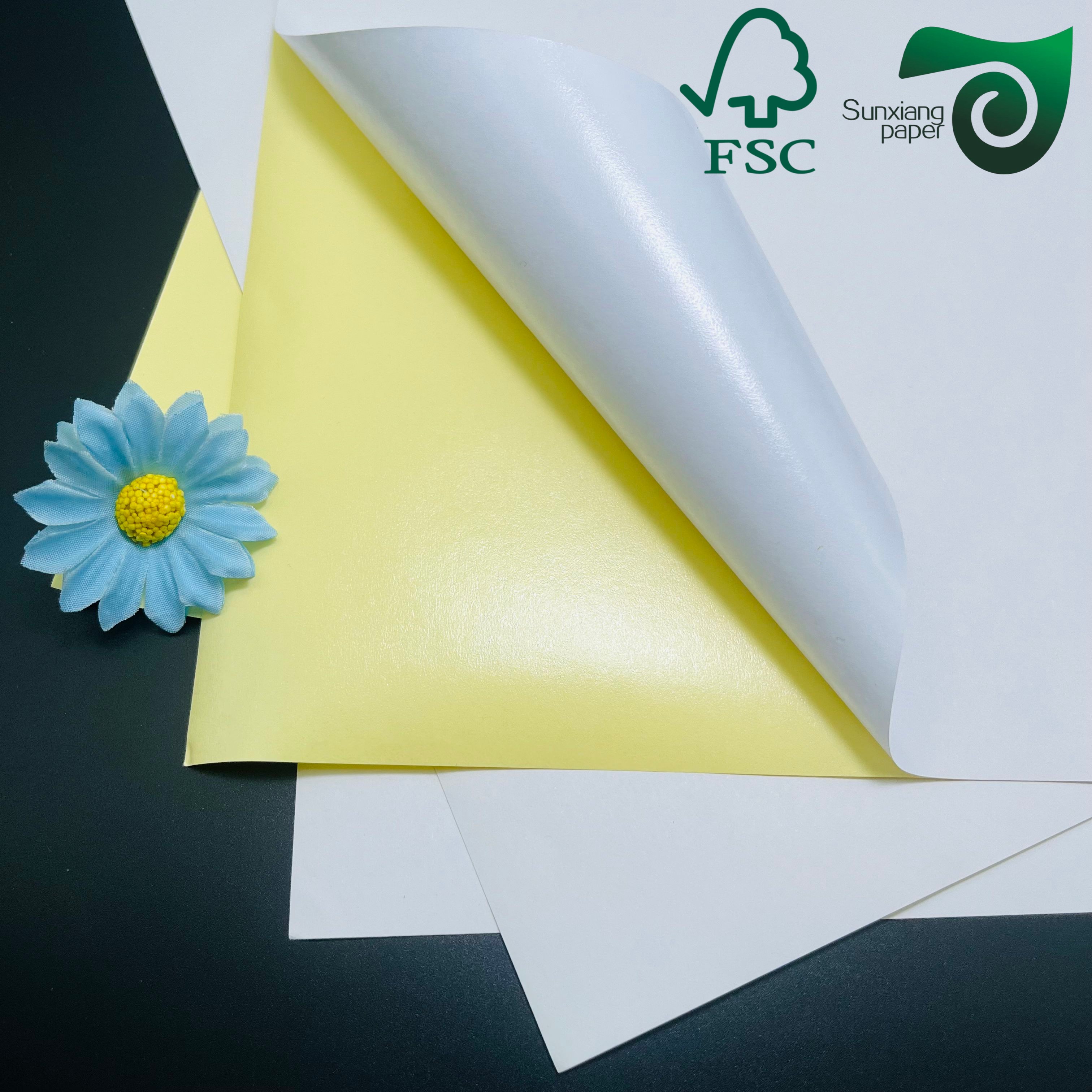 70gsm FSC Certified Waterproof Breakage-Resistant Aluminized Beer Label Paper (765mm Width)