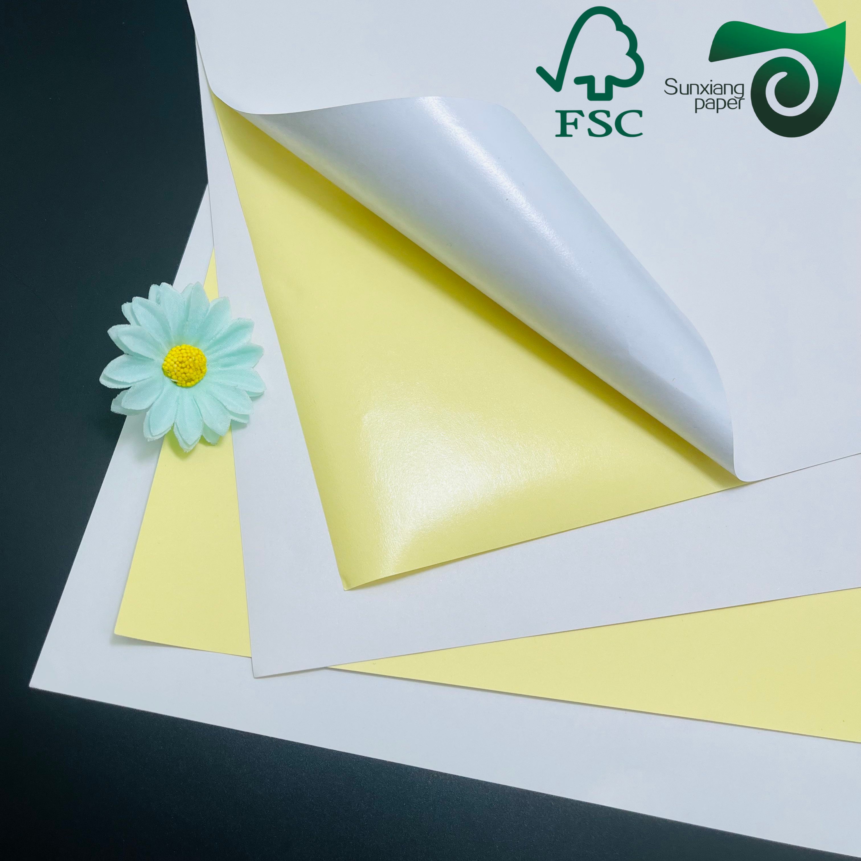 FSC 90gsm C1S Glossy Coated Label Face Paper for Labelling Applications