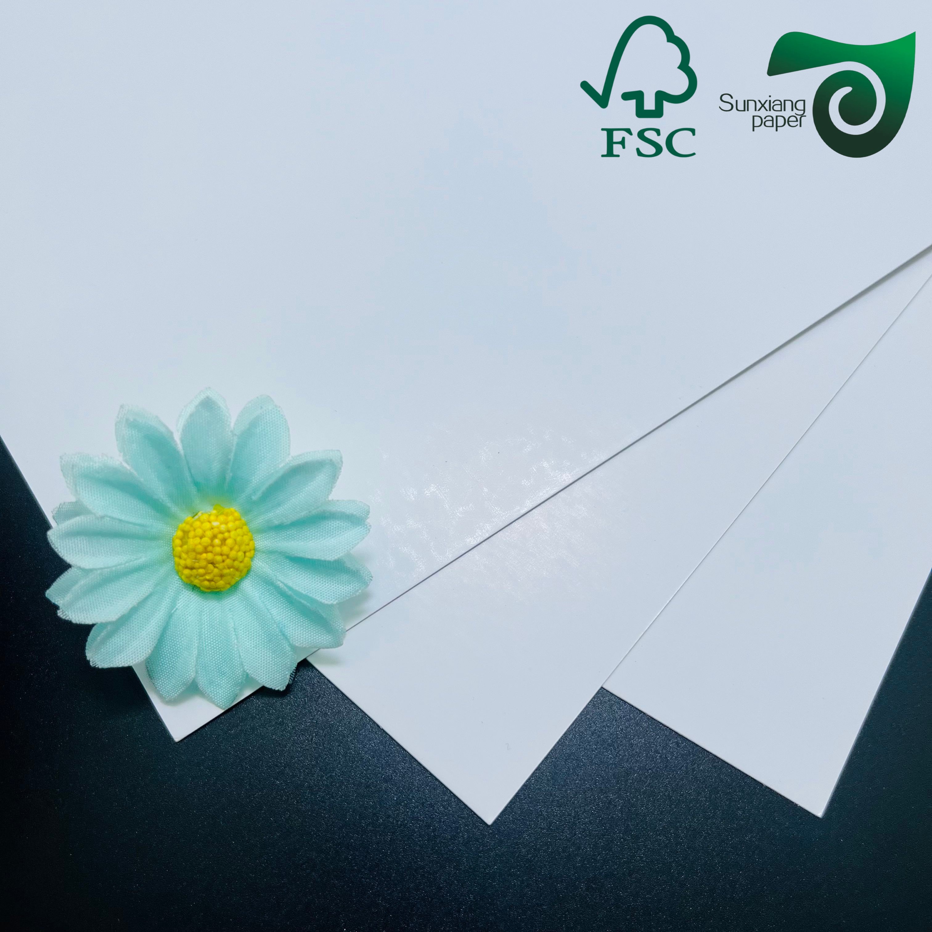 FSC Certified 200gsm One-Side Coated White Cardboard High Hardness for Premium Packaging