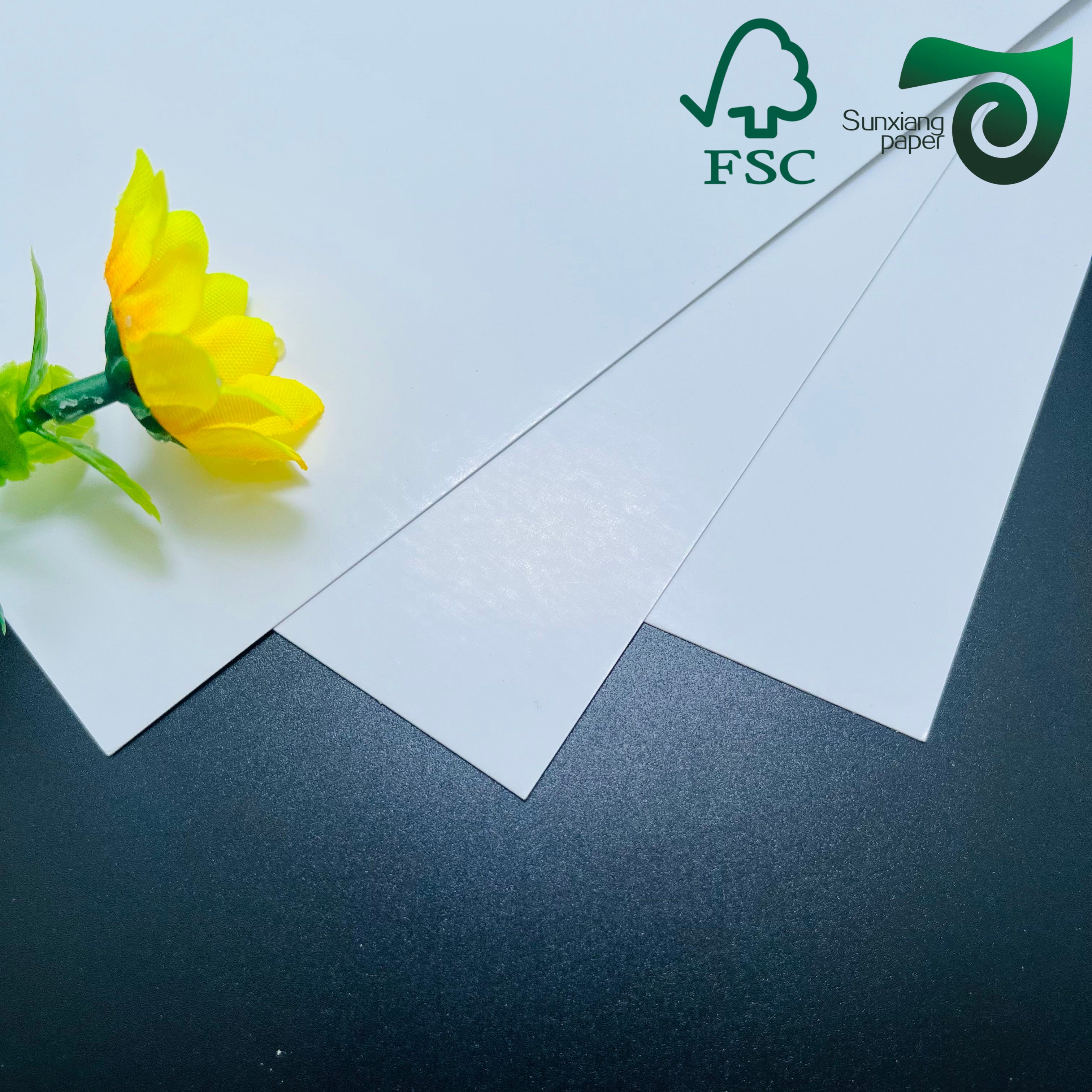 FSC C1S SBS Paper Board 250gsm 400gsm FBB Board One Side Coated White Cardboard