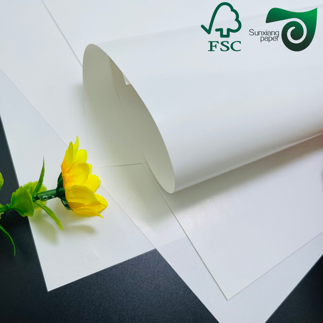 FSC C1S SBS FBB Board 250gsm–400gsm | One Side Coated White Cardboard