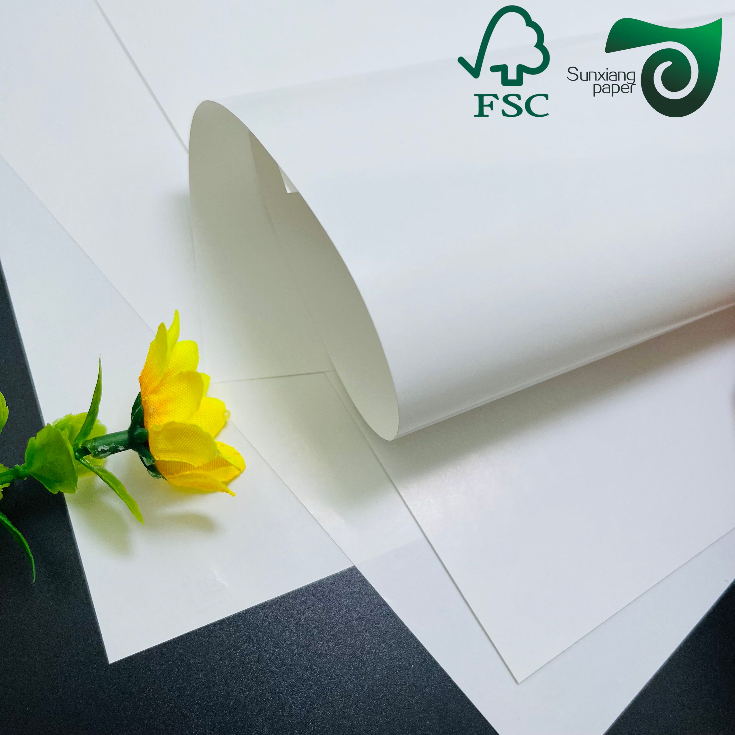 FSC C1S SBS FBB Board 250gsm 400gsm One Side Coated White Cardboard