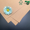 FSC Food Grade Brown Kraft Board 270gsm 300gsm For Lunch Box Food Packaging