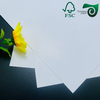 FSC C1S SBS Paper Board 250gsm 400gsm FBB Board One Side Coated White Cardboard