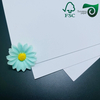 SBS White Paper China Manufacturer Ivory Cardboard 250gsm,300gsm,350gsm,400gsm In Roll Or Sheet