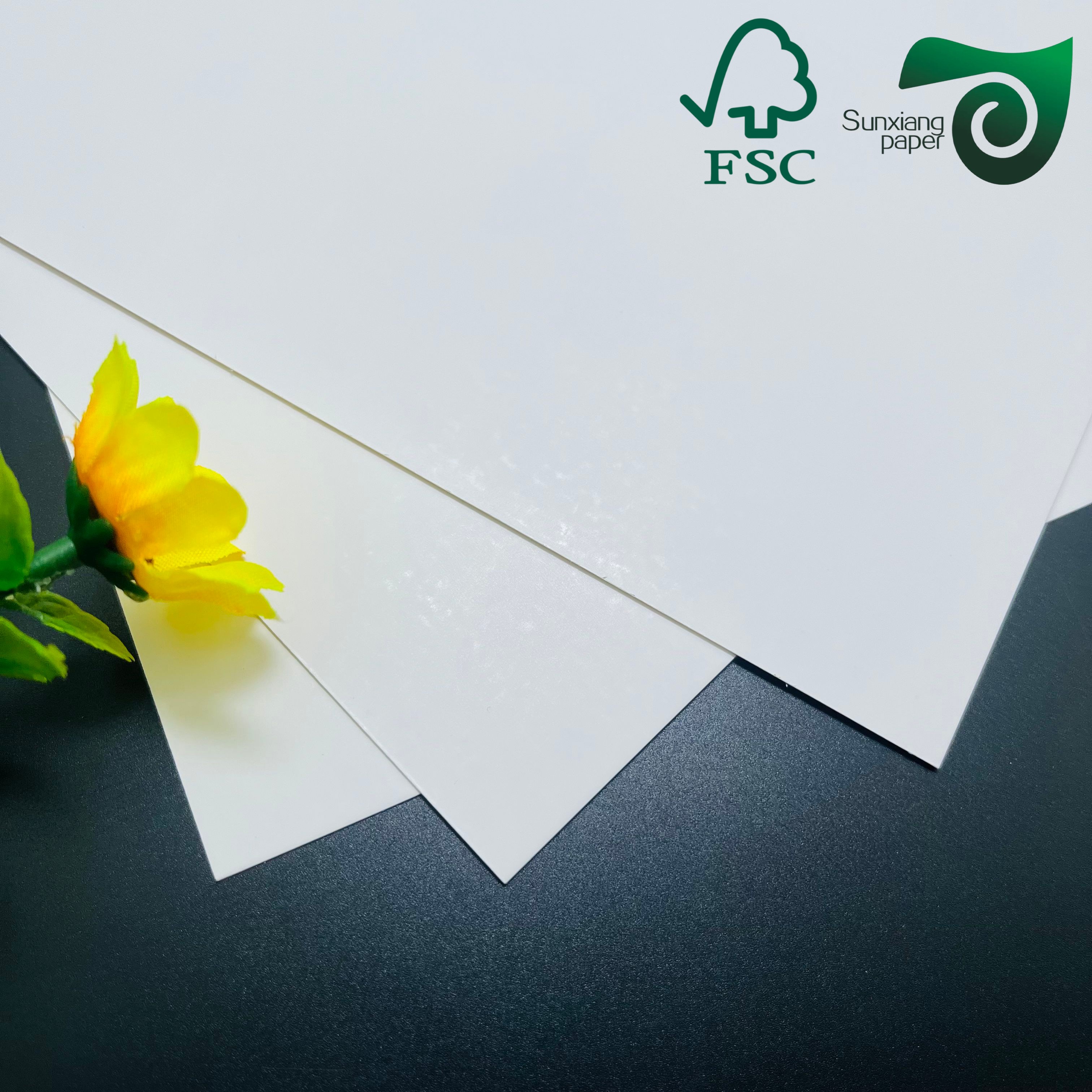 FSC Certified 350gsm One-Side Coated White Cardboard High Hardness for Premium Packaging