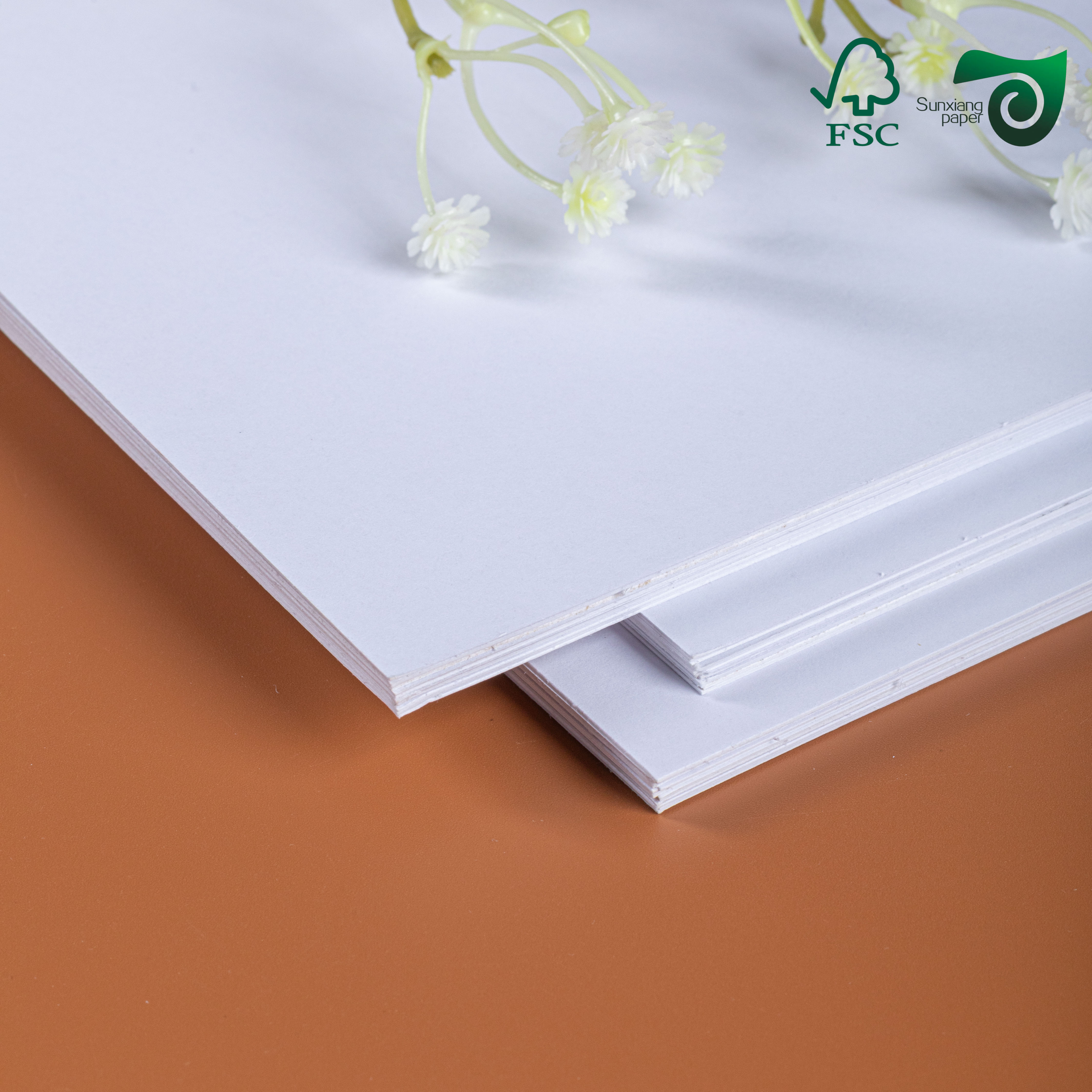 Premium FSC 300gsm Single-Sided Coated CardBoard C1S High Fold Strength for Food Packaging