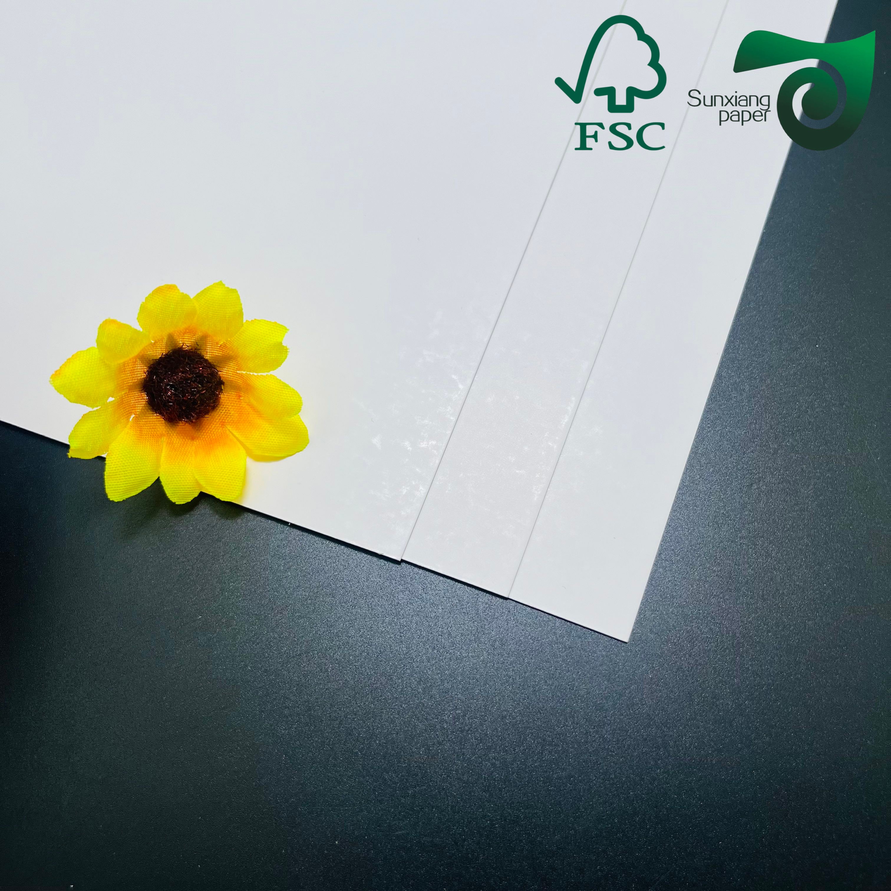 FSC C1S SBS Paper Board 250gsm 400gsm FBB Board One Side Coated White Cardboard
