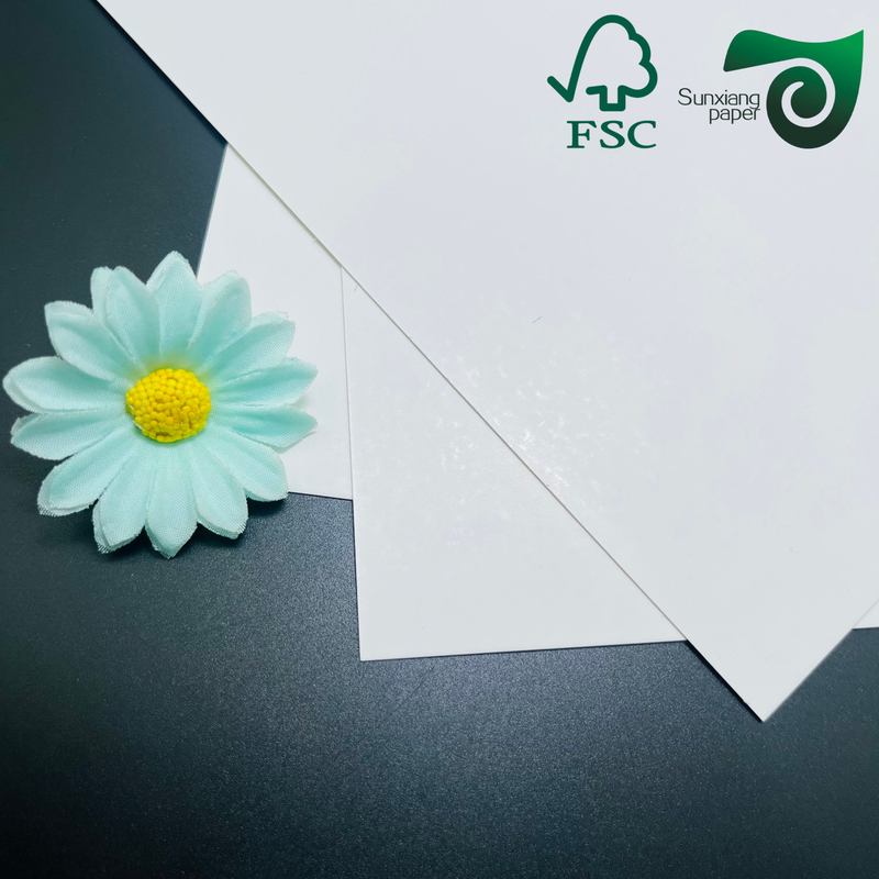 SBS White Paper China Manufacturer Ivory Cardboard 250gsm,300gsm,350gsm,400gsm In Roll Or Sheet