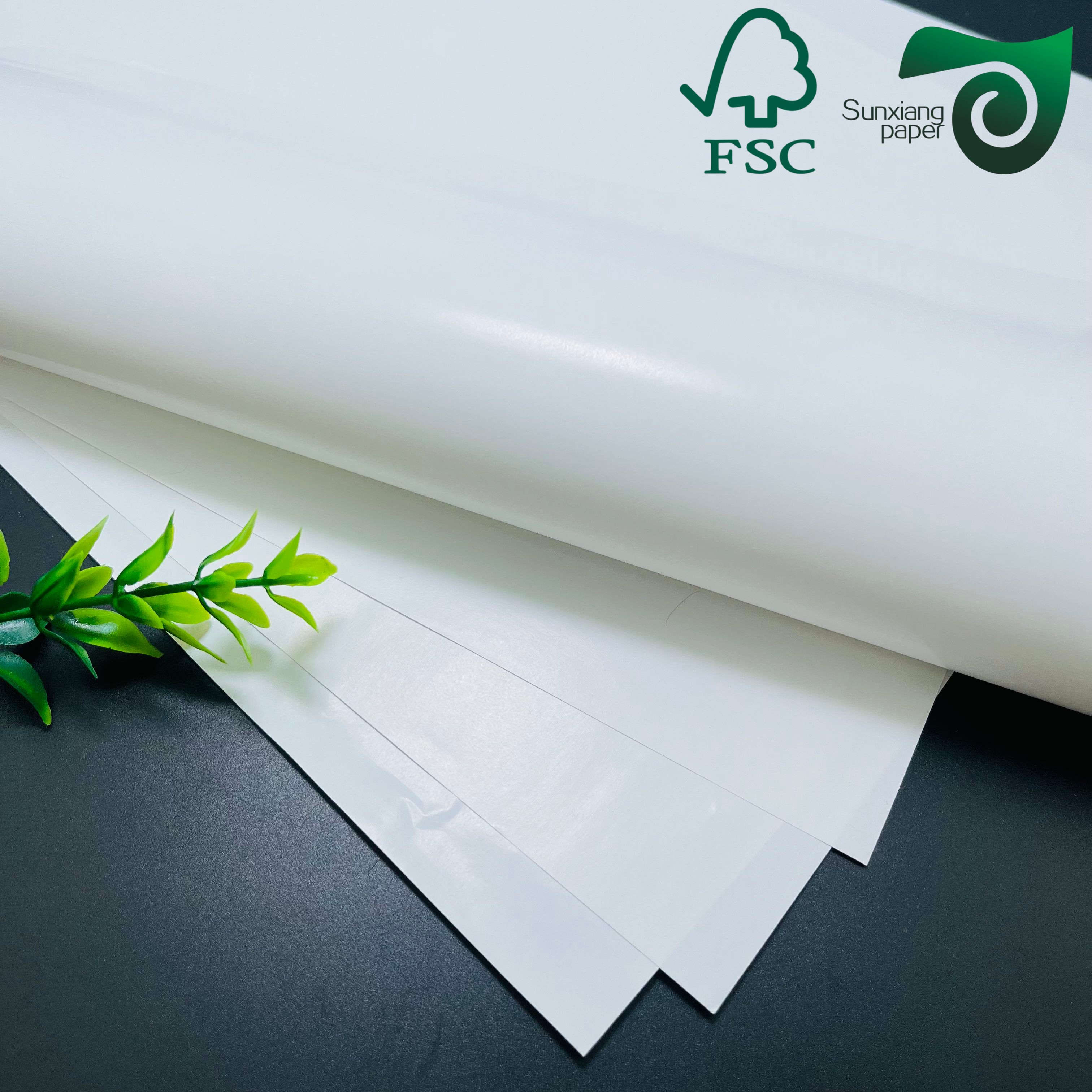 FSC C1S SBS FBB Board 250gsm–400gsm | One Side Coated White Cardboard