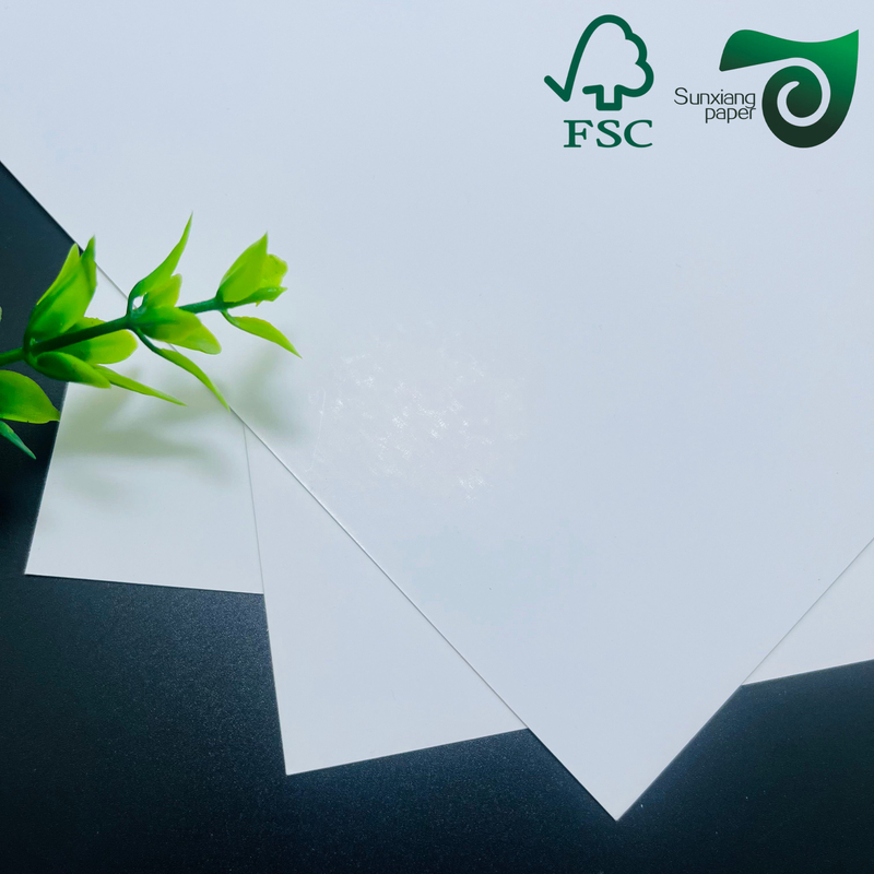 FSC C1S SBS Paper Board 250gsm 400gsm FBB Board One Side Coated White Cardboard