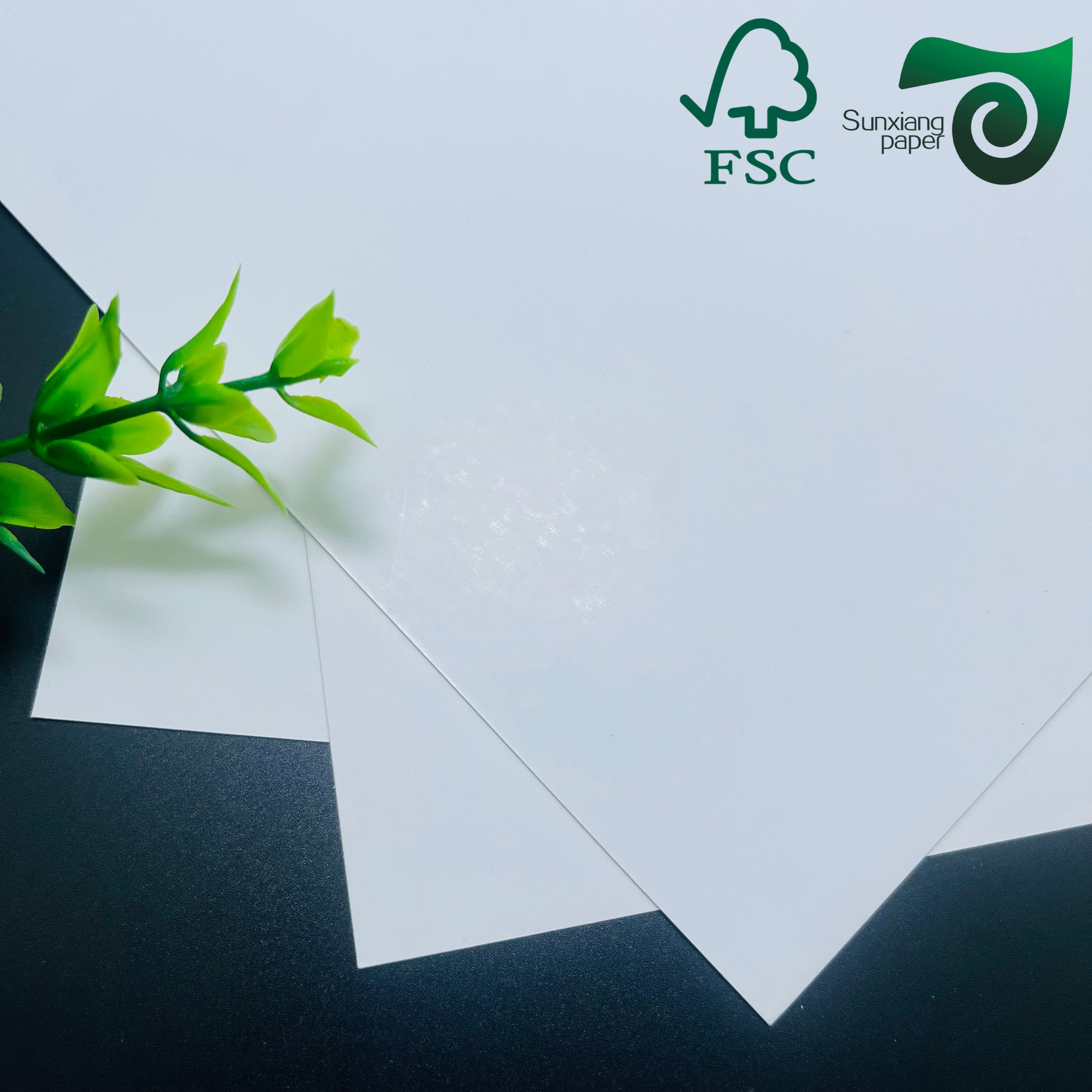 FSC C1S SBS Paper Board 250gsm 400gsm FBB Board One Side Coated White Cardboard