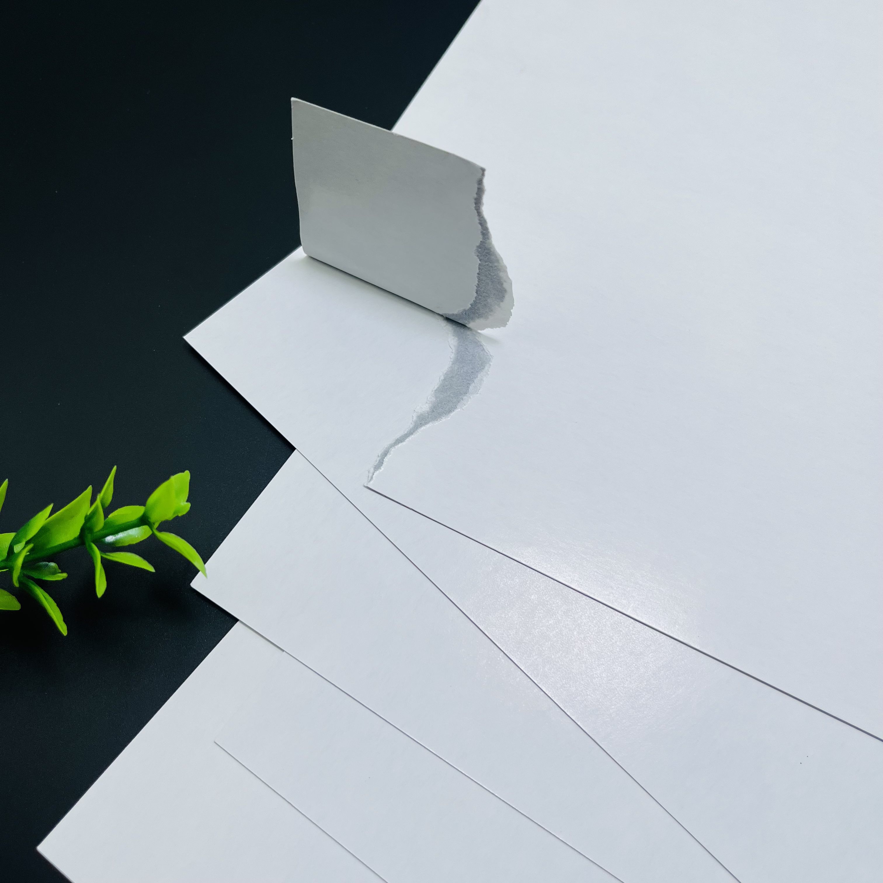 2025_06_29_16_20_IMG_5335