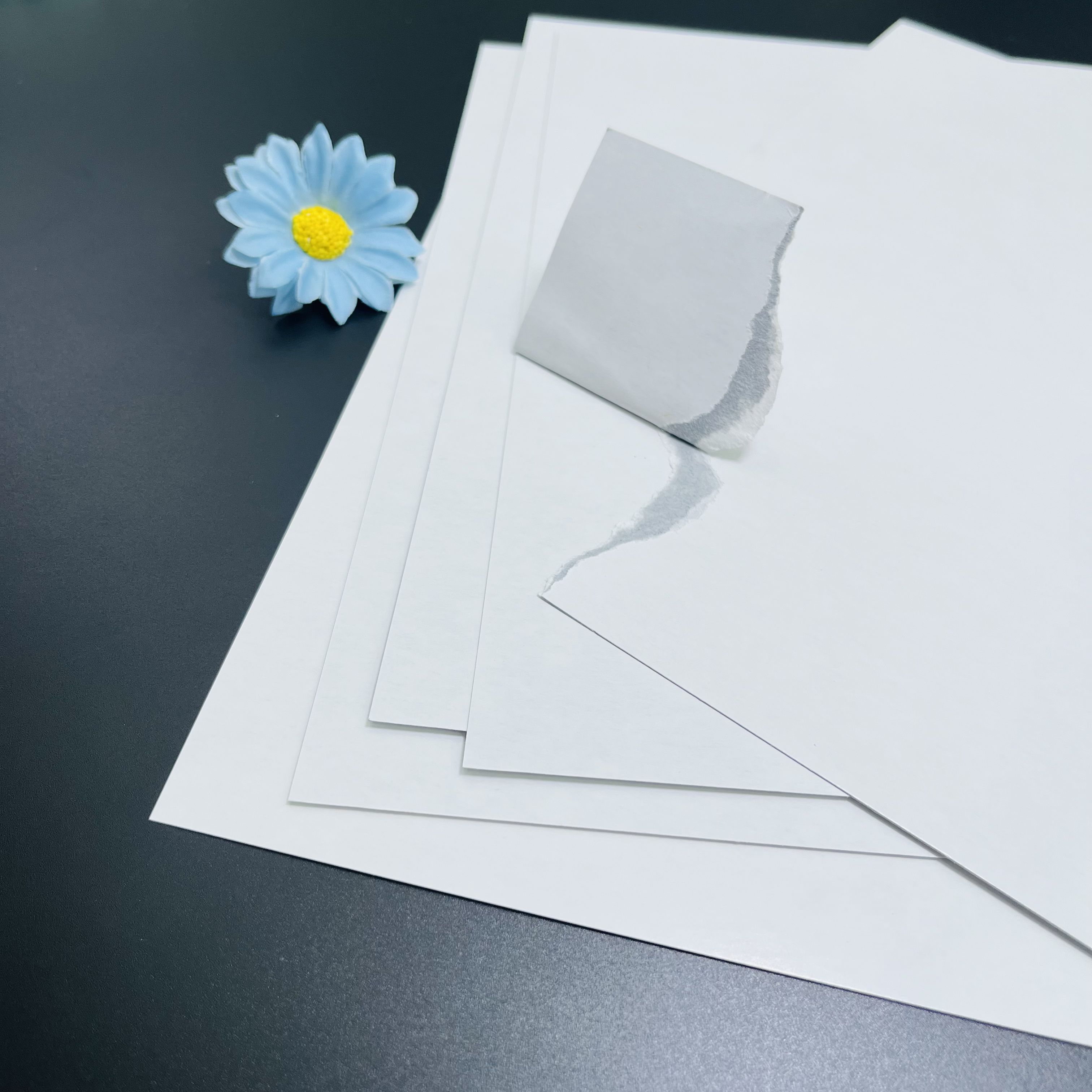 2025_06_29_16_26_IMG_5373