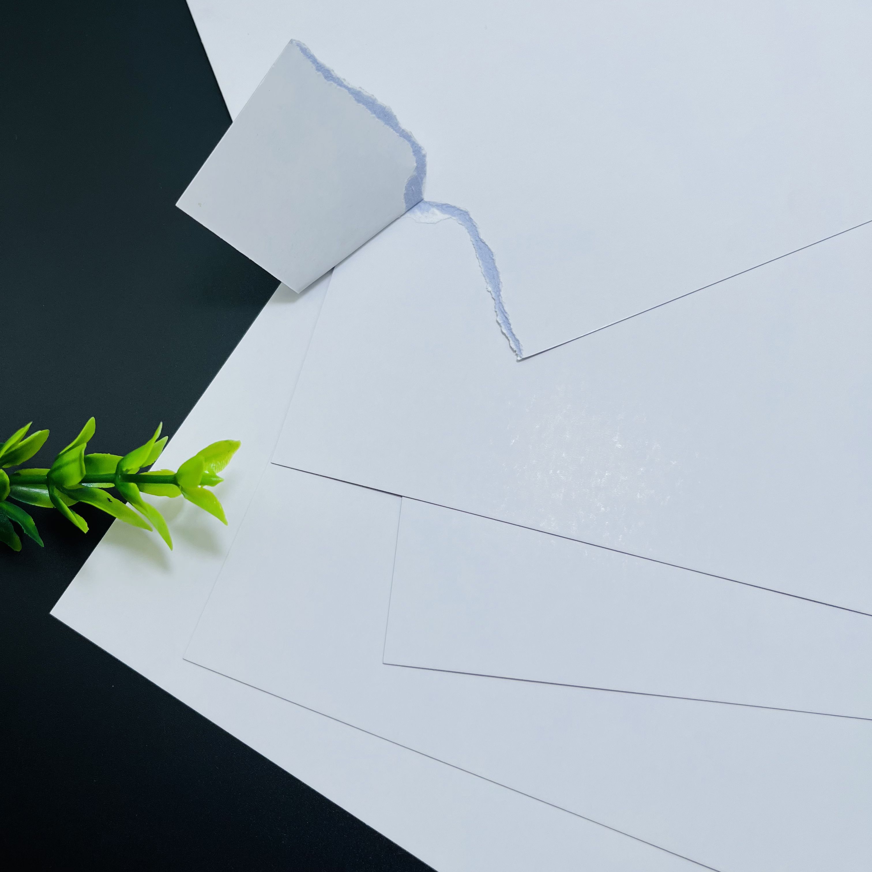 FSC certified 270gsm C2S double sided glossy art paper with blue black core for poker cards