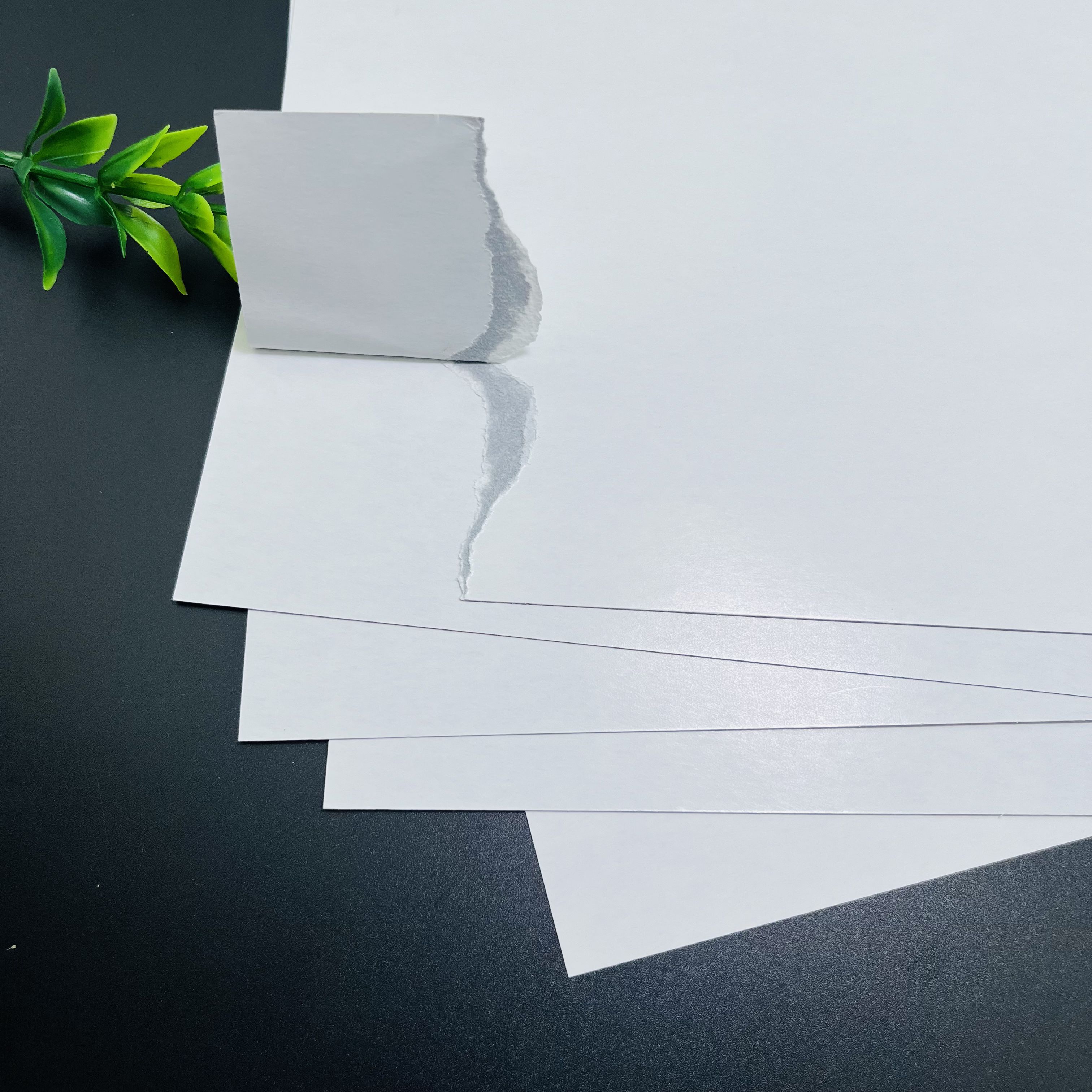 FSC certified 280gsm 310gsm black core C2S double glossy poker playing paper for premium playing cards