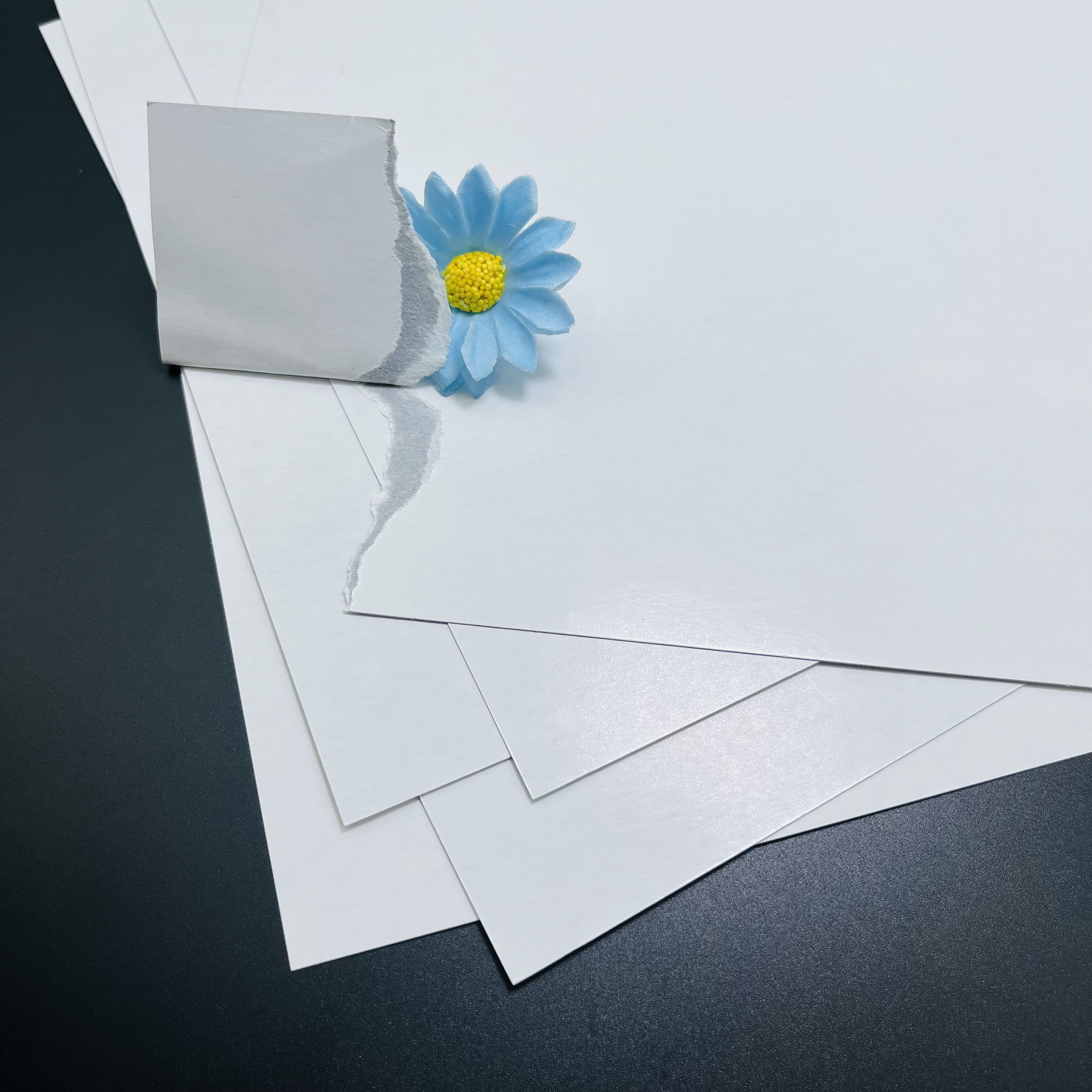 FSC certified 300gsm C2S double glossy art paper with blue black core for poker cards