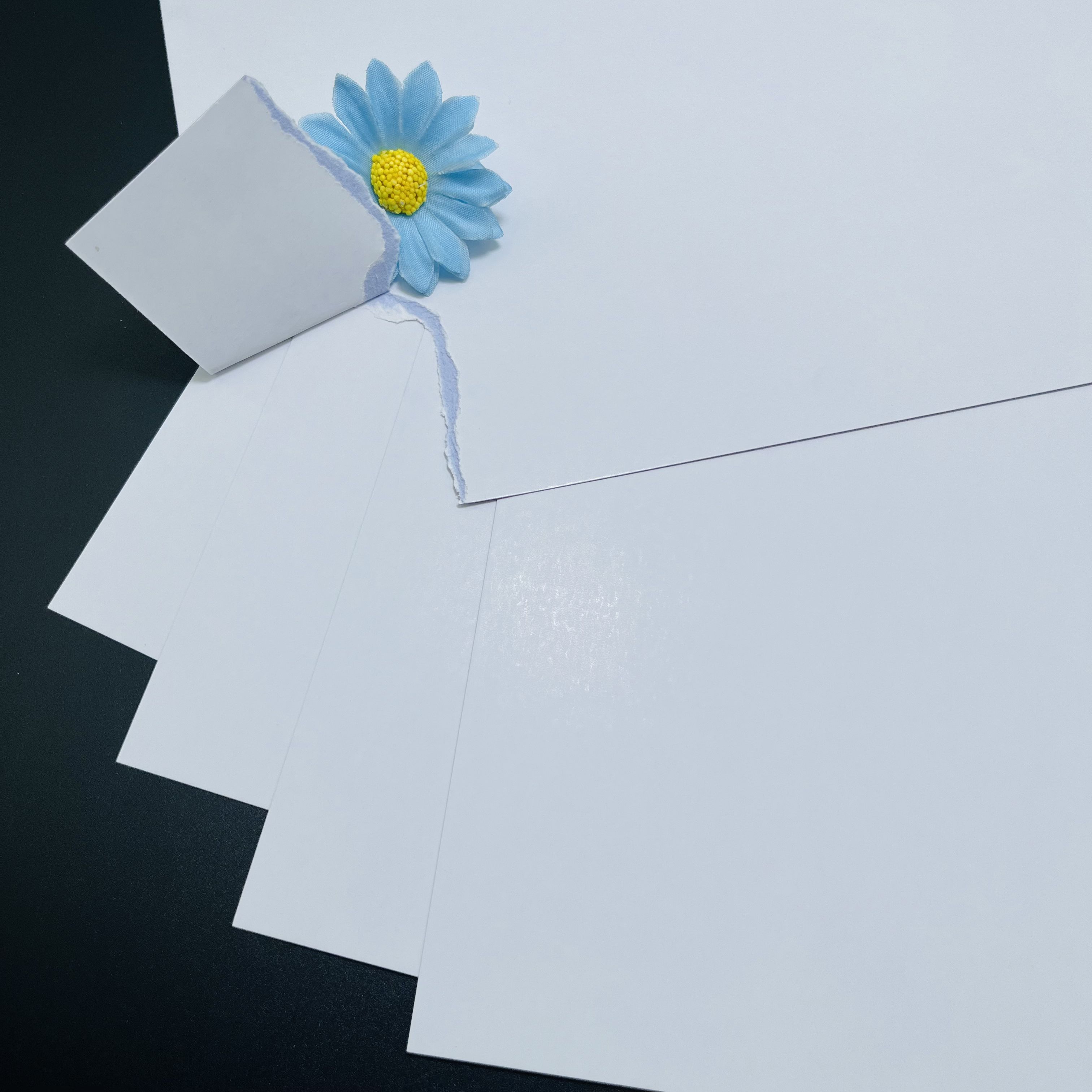 FSC certified 270gsm C2S double sided glossy art paper with blue black core for poker cards