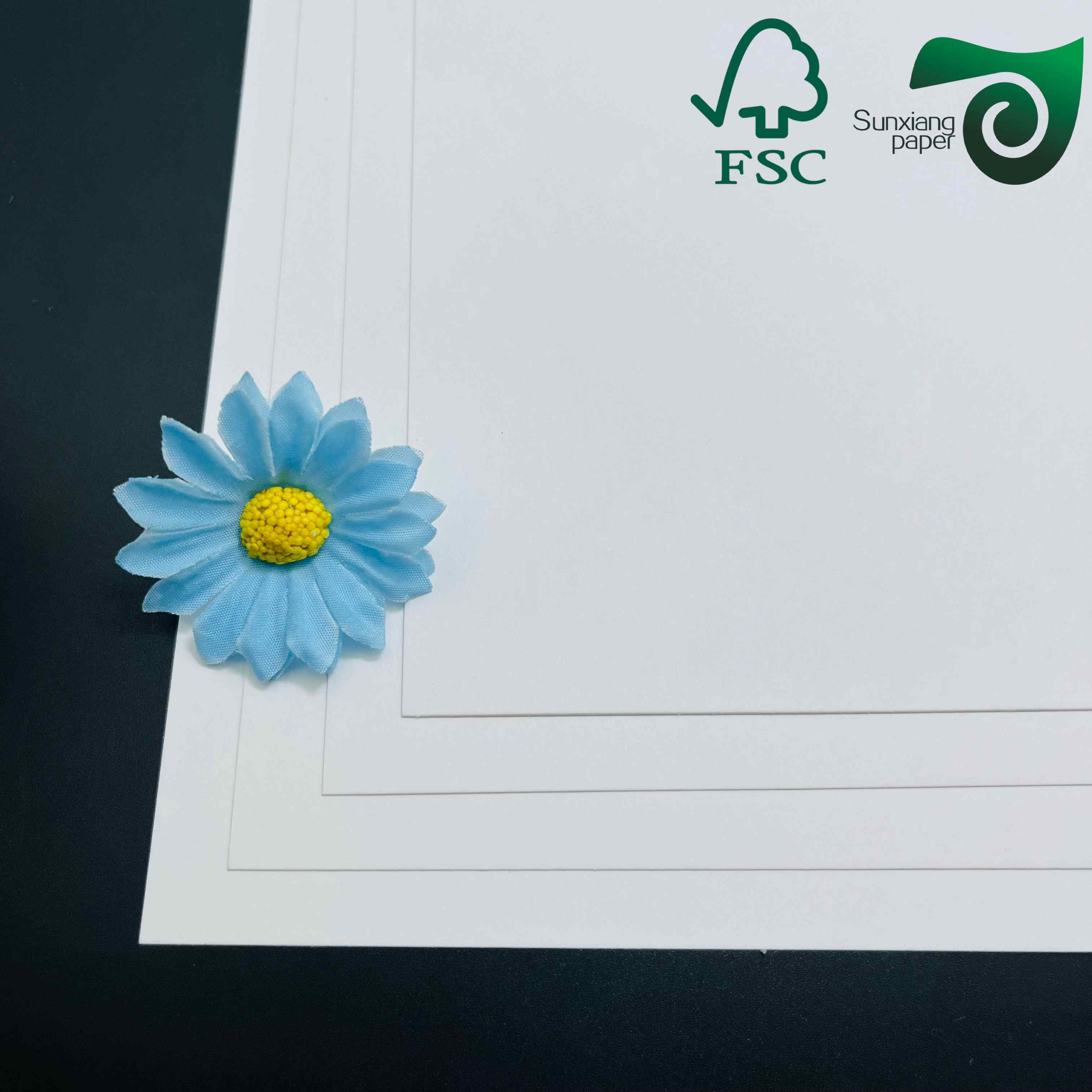 FSC uniform white coated kraft paper 270gsm 325gsm food grade ideal for bread and food packaging suitable for Middle East EU US markets